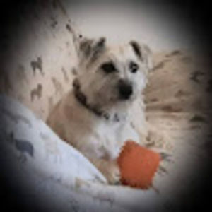 Meet your Posher, Pj